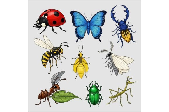 Collection of Colorful Insects Illustrations for Local Business Branding