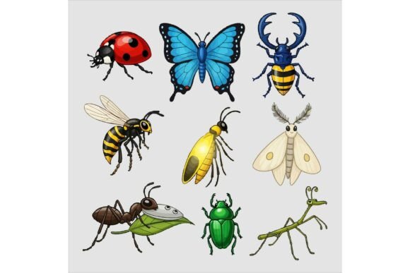 Colorful Cartoon Insects Illustrations for Vibrant Branding